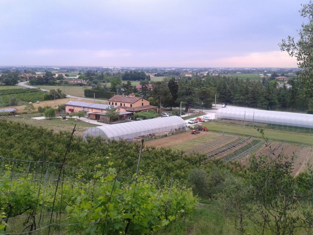 Agriturismo Perugini Bed & Breakfast Cesena Bagian luar foto