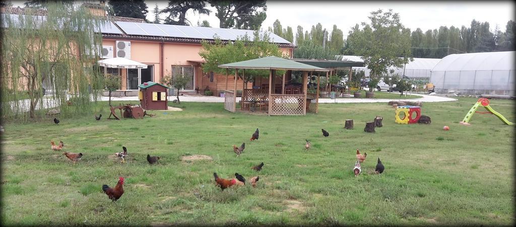 Agriturismo Perugini Bed & Breakfast Cesena Bagian luar foto